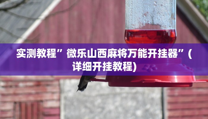 实测教程”即赢互动怎么开挂”(原来确实是有挂)