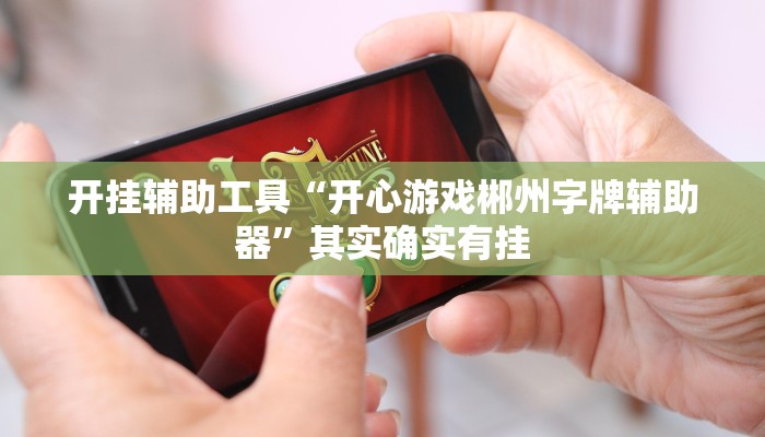 实测教程”字牌用挂开挂软件”(原来确实是有挂)