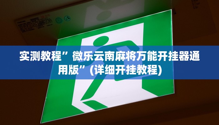 实测教程”aapoker开挂透视方法”(原来确实是有挂)