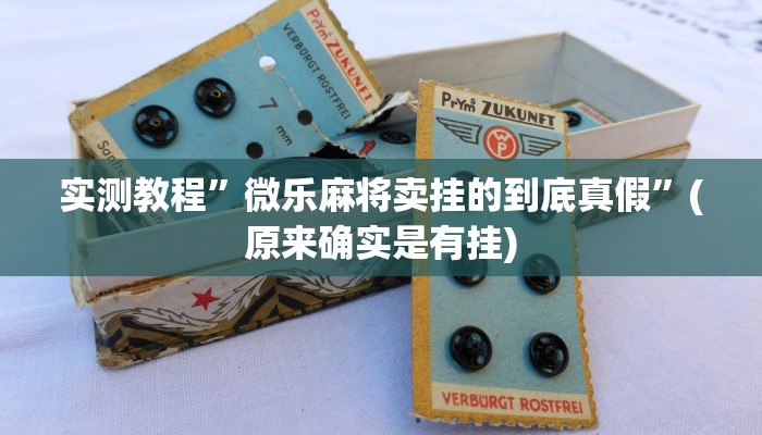 实测教程”wepoker作弊挂软件”(原来确实是有挂)