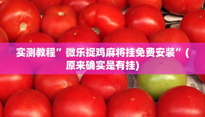 实测教程”至友互娱可以开挂作弊吗”(详细开挂教程)