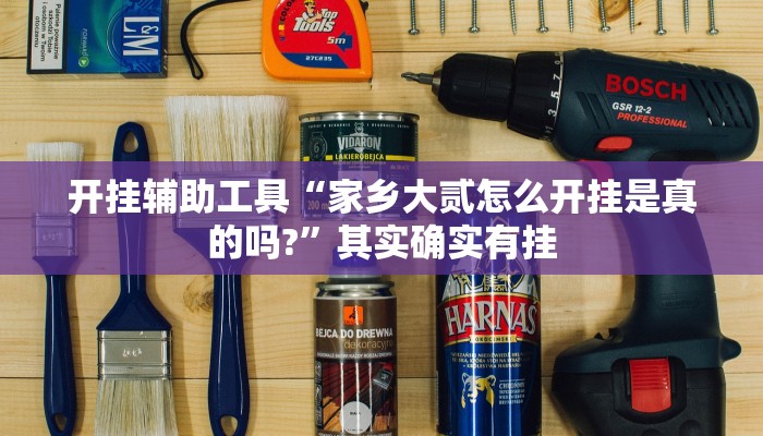 开挂辅助工具“博乐填大坑辅助软件免费”其实确实有挂