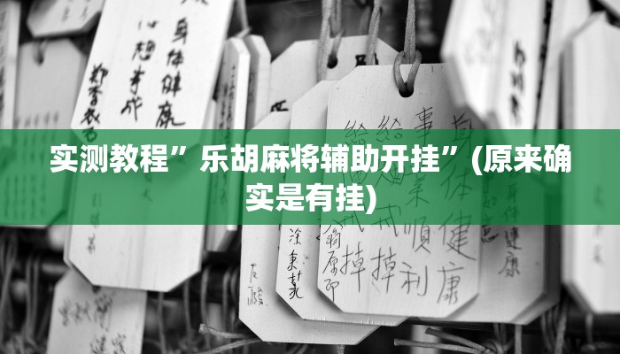 实测教程”胡乐阳泉麻将开挂