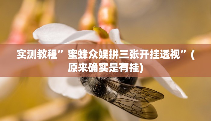 实测教程”天天贵阳麻将破解器”(原来确实是有挂)