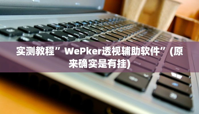 实测教程”智星德州菠萝挂怎么安装”(原来确实是有挂)