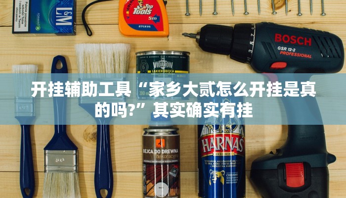 开挂辅助工具“家乡大贰怎么开挂是真的吗?”其实确实有挂