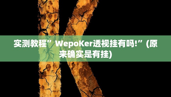 实测教程”WepoKer透视挂有吗!”(原来确实是有挂)
