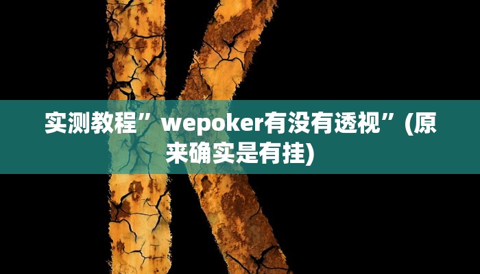 实测教程”wepoker有没有透视”(原来确实是有挂)