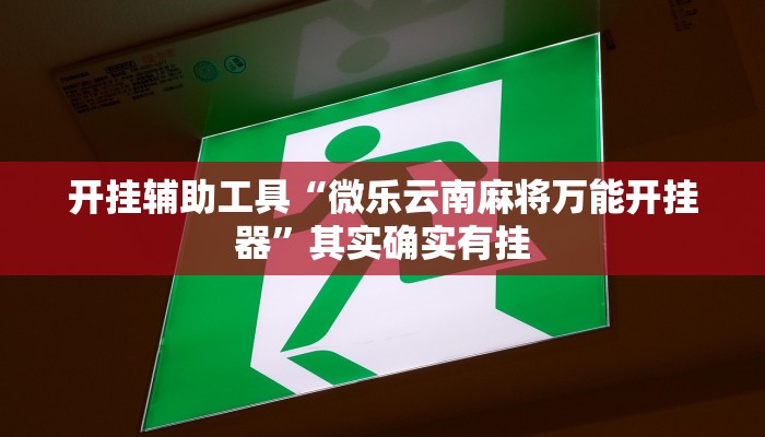 开挂辅助工具“微乐云南麻将万能开挂器”其实确实有挂