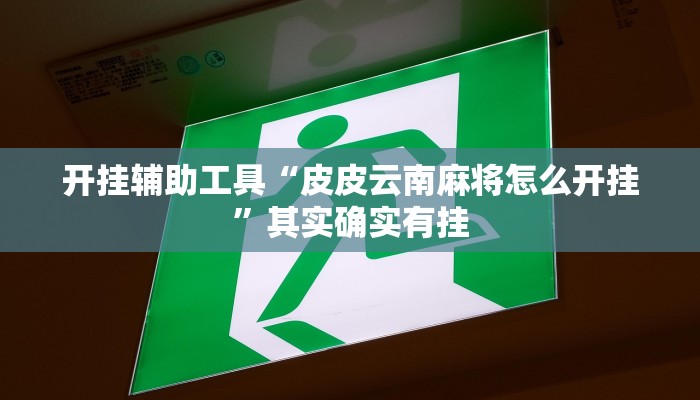 开挂辅助工具“皮皮云南麻将怎么开挂”其实确实有挂