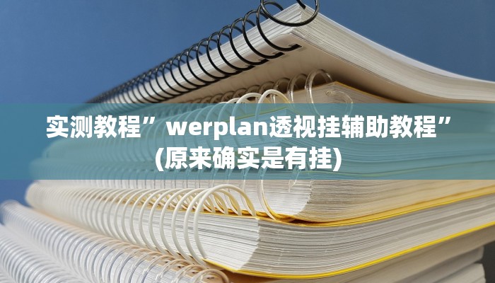 实测教程”werplan透视挂辅助教程”(原来确实是有挂)