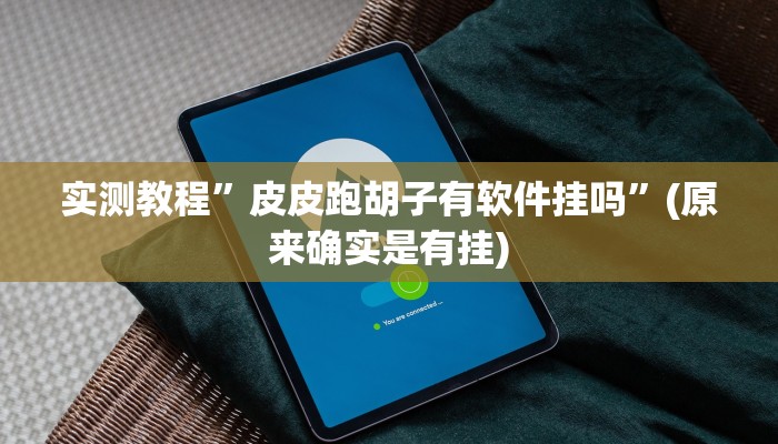 实测教程”皮皮跑胡子有软件挂吗”(原来确实是有挂)
