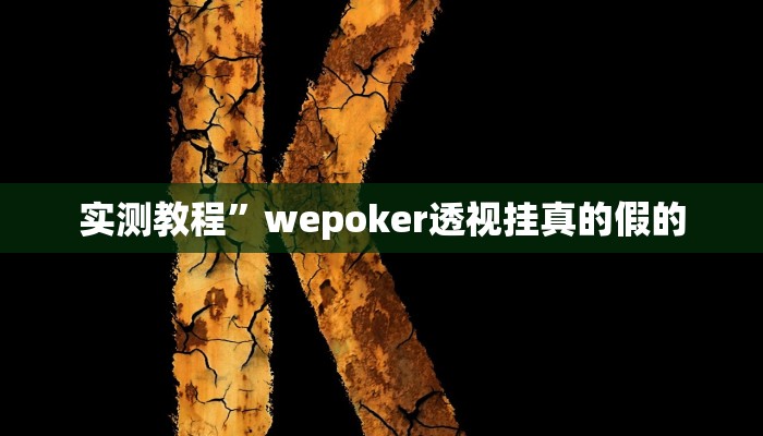 实测教程”wepoker透视挂真的假的