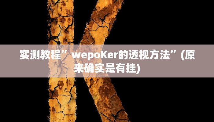 实测教程”wepoKer的透视方法”(原来确实是有挂)