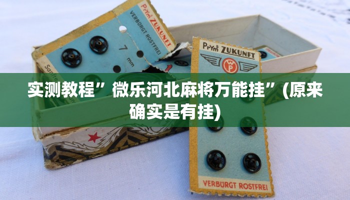 实测教程”微乐河北麻将万能挂”(原来确实是有挂)