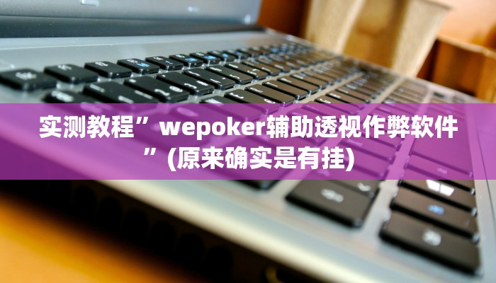 实测教程”wepoker辅助透视作弊软件”(原来确实是有挂)