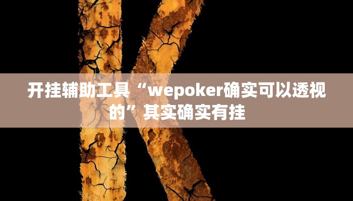 开挂辅助工具“wepoker确实可以透视的”其实确实有挂