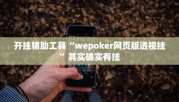 开挂辅助工具“wepoker网页版透视挂”其实确实有挂