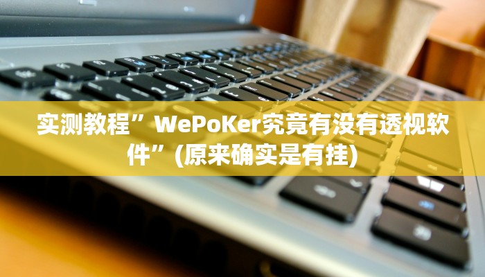 实测教程”WePoKer究竟有没有透视软件”(原来确实是有挂)