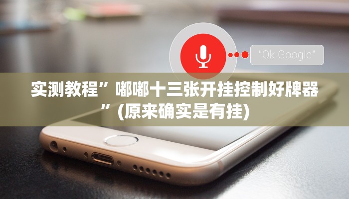 实测教程”嘟嘟十三张开挂控制好牌器”(原来确实是有挂)