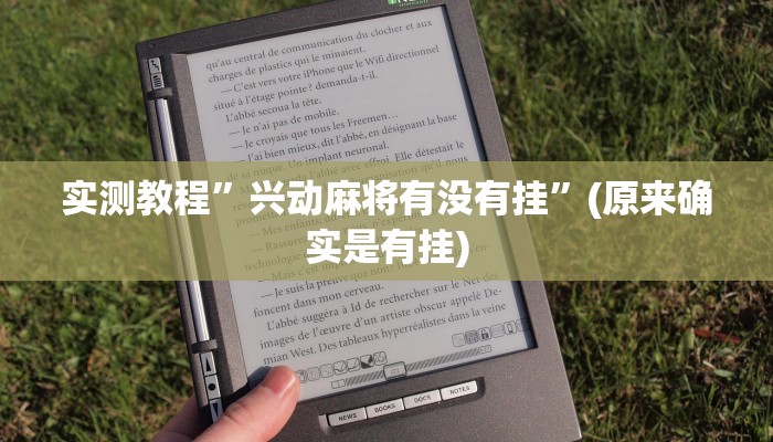 实测教程”兴动麻将有没有挂”(原来确实是有挂)