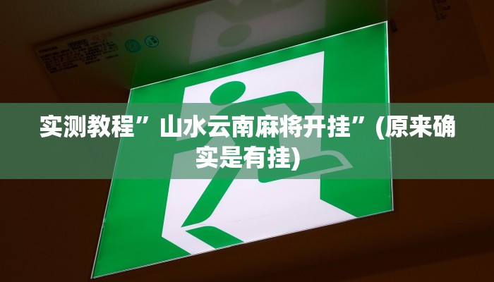 实测教程”山水云南麻将开挂”(原来确实是有挂)