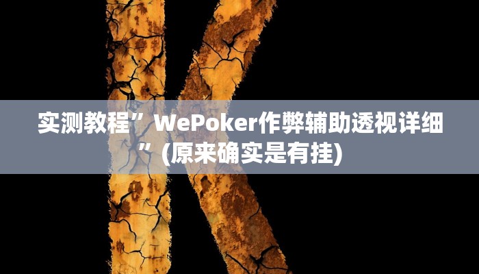 实测教程”WePoker作弊辅助透视详细”(原来确实是有挂)