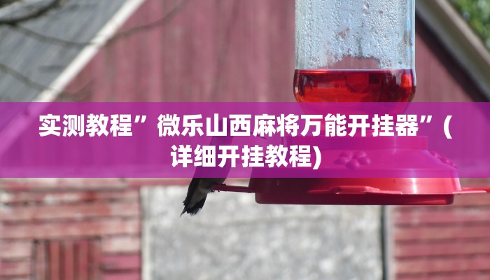 实测教程”微乐山西麻将万能开挂器”(详细开挂教程)