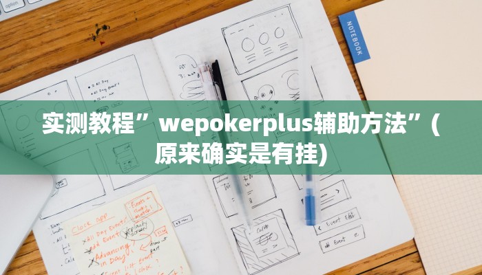 实测教程”wepokerplus辅助方法”(原来确实是有挂)