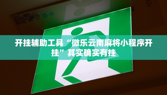 开挂辅助工具“微乐云南麻将小程序开挂”其实确实有挂