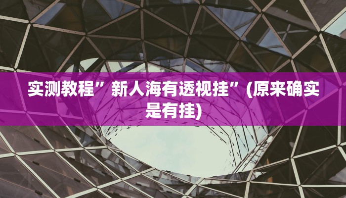 实测教程”新人海有透视挂”(原来确实是有挂)
