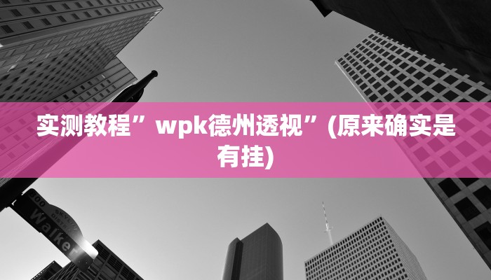实测教程”wpk德州透视”(原来确实是有挂)