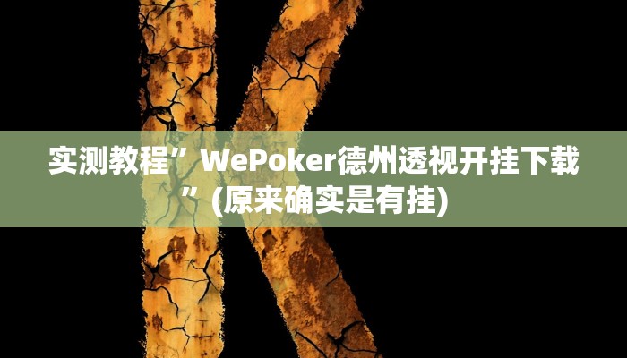 实测教程”WePoker德州透视开挂下载”(原来确实是有挂)