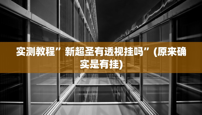 实测教程”新超圣有透视挂吗”(原来确实是有挂)