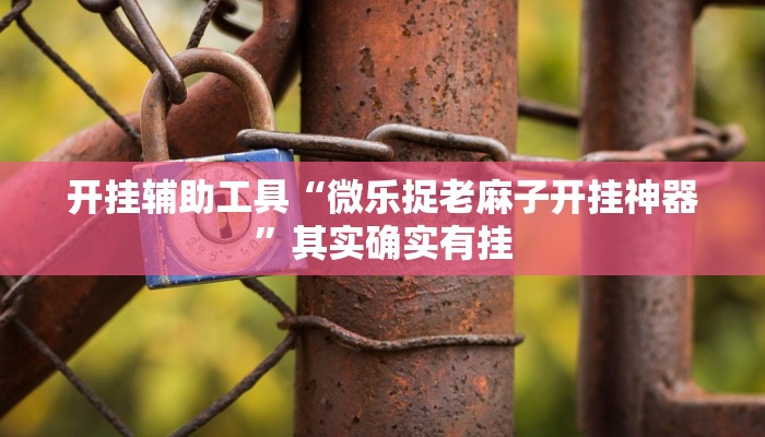 开挂辅助工具“微乐捉老麻子开挂神器”其实确实有挂