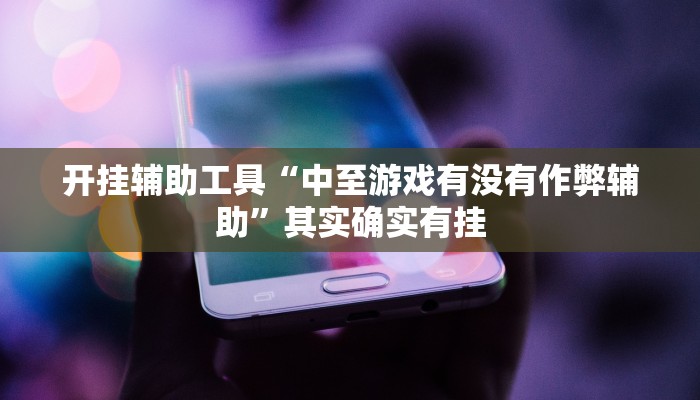 开挂辅助工具“中至游戏有没有作弊辅助”其实确实有挂