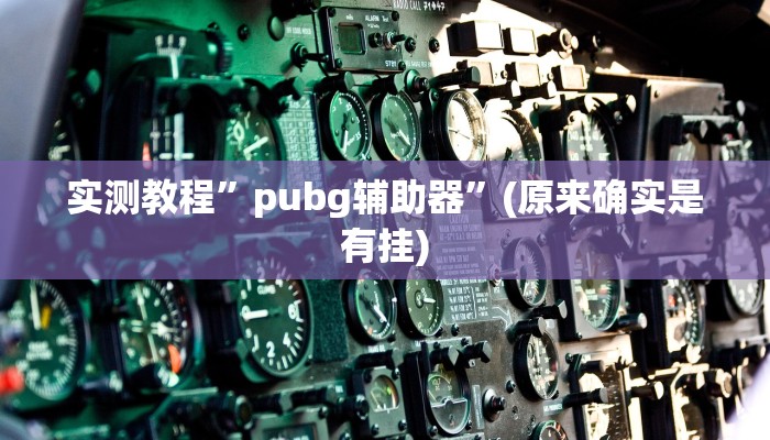 实测教程”pubg辅助器”(原来确实是有挂)