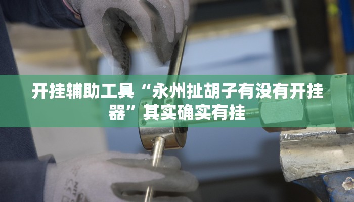 开挂辅助工具“永州扯胡子有没有开挂器”其实确实有挂