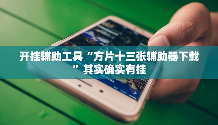 开挂辅助工具“方片十三张辅助器下载”其实确实有挂