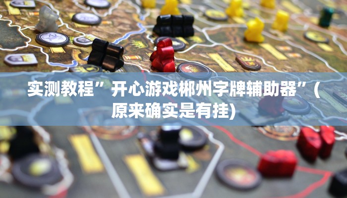 实测教程”开心游戏郴州字牌辅助器”(原来确实是有挂)