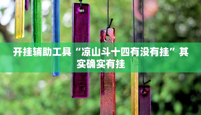 开挂辅助工具“凉山斗十四有没有挂”其实确实有挂