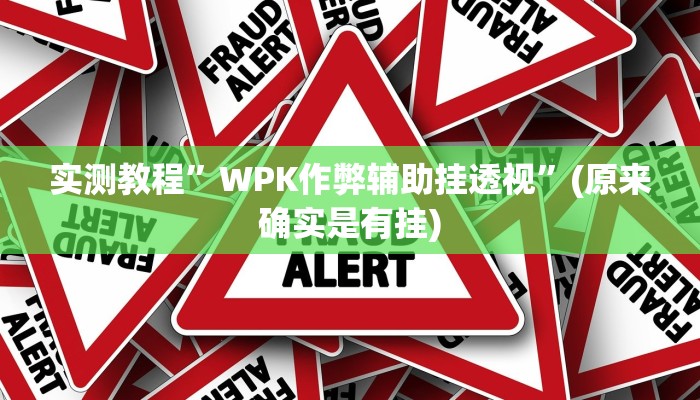 实测教程”WPK作弊辅助挂透视”(原来确实是有挂)