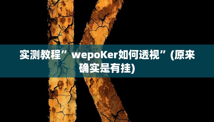 实测教程”wepoKer如何透视”(原来确实是有挂)