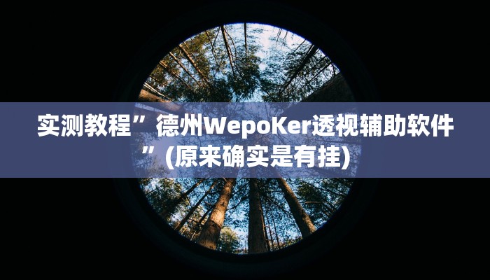 实测教程”德州WepoKer透视辅助软件”(原来确实是有挂)