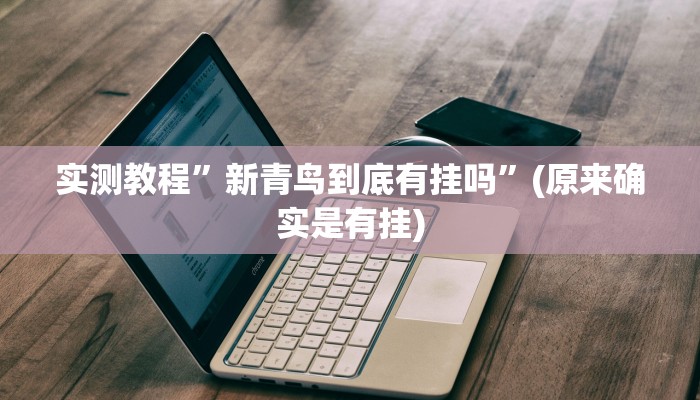 实测教程”新青鸟到底有挂吗”(原来确实是有挂)