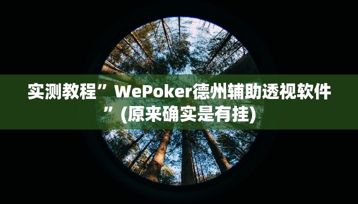 实测教程”WePoker德州辅助透视软件”(原来确实是有挂)