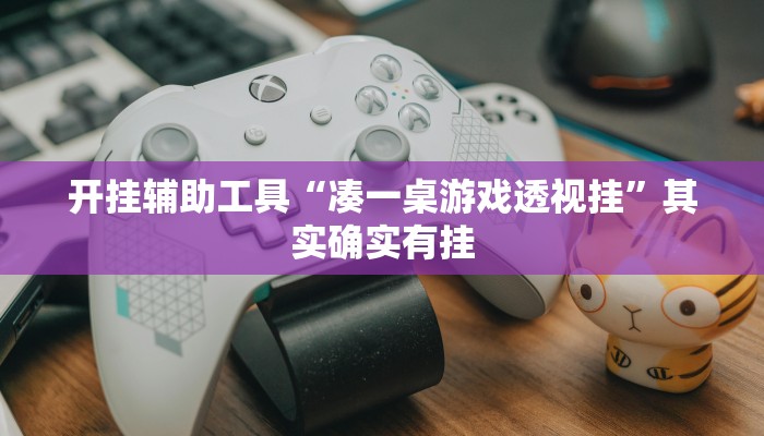 开挂辅助工具“凑一桌游戏透视挂”其实确实有挂