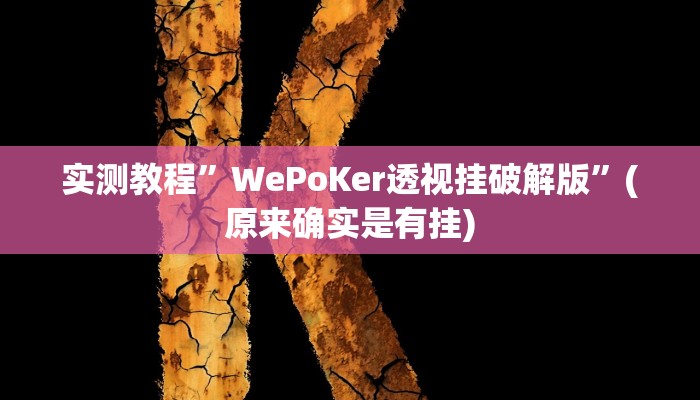 实测教程”WePoKer透视挂破解版”(原来确实是有挂)