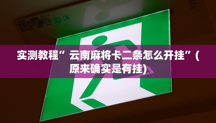实测教程”智星德州菠萝开挂教程”(原来确实是有挂)