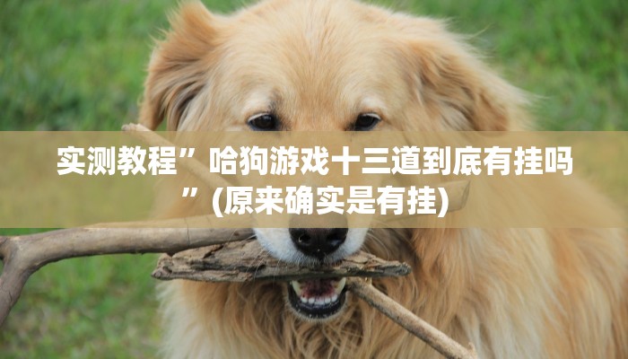 实测教程”哈狗游戏十三道到底有挂吗”(原来确实是有挂)